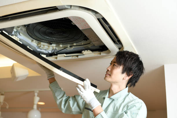 Best Air Duct Mold Removal  in Discovery Harbour, HI